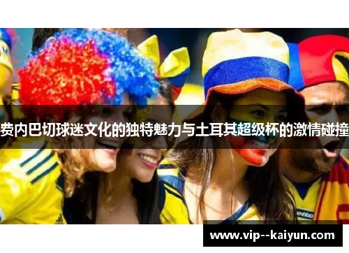 费内巴切球迷文化的独特魅力与土耳其超级杯的激情碰撞 费内巴切球迷文化的独特魅力与土耳其超级杯的激情碰撞