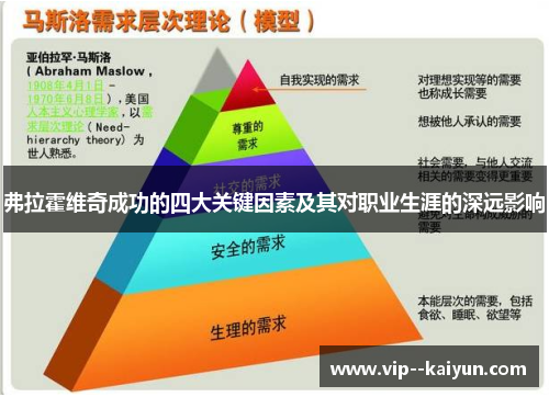 弗拉霍维奇成功的四大关键因素及其对职业生涯的深远影响 弗拉霍维奇成功的四大关键因素及其对职业生涯的深远影响