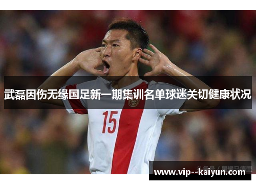武磊因伤无缘国足新一期集训名单球迷关切健康状况